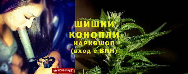 кокс Богородицк