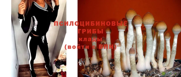 MDMA Богородск