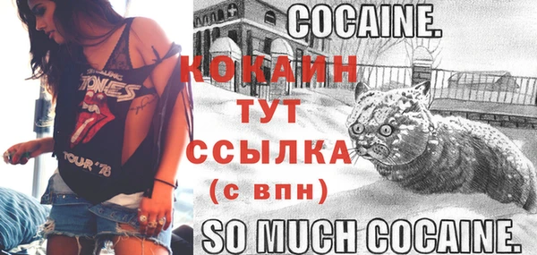 кокс Богородицк