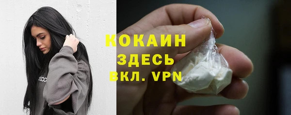 кокс Богородицк