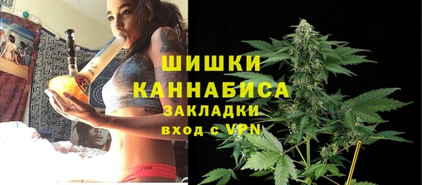 кокс Богородицк