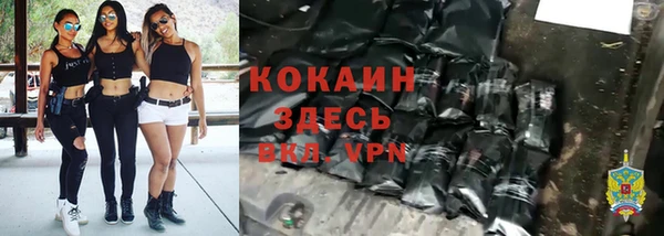 кокс Богородицк