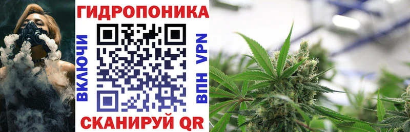 Бошки марихуана гибрид  Гуково 